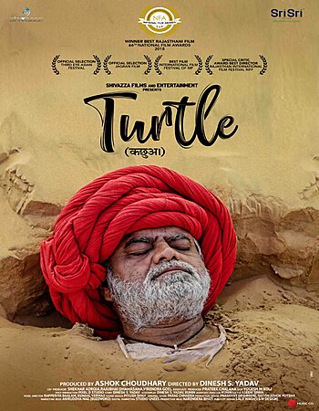 Turtle 2018 DVD Rip Full Movie